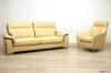 Modernes Wohnzimmer aus gelbem und braunem Leder